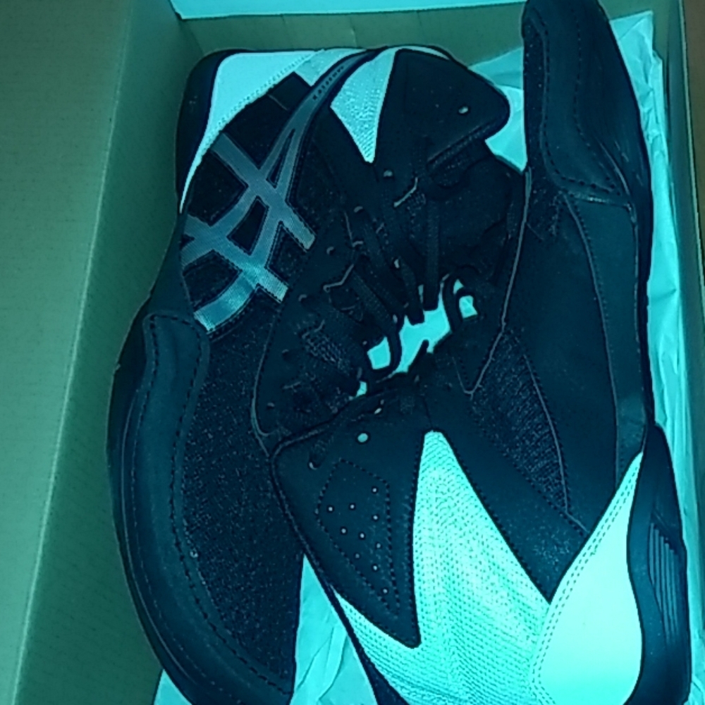 Men's Matflex (wrestling shoe)
